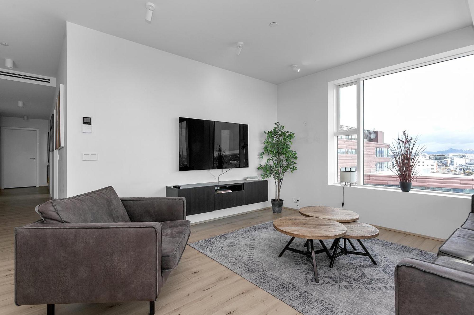 Apartment Spacious Luxury 3br With 2 Bathrooms 1003 Reykjavík